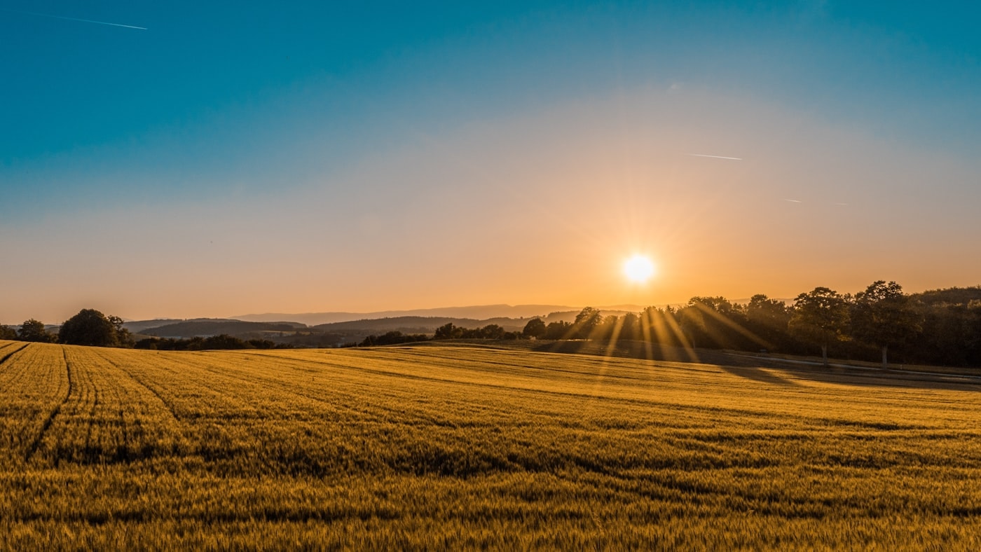 Sunrise over a quiet field